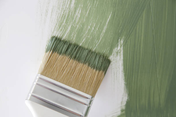 Best Basement Mold Removal  in Madison, MS