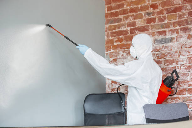 Best Airborne Mold Testing  in Madison, MS