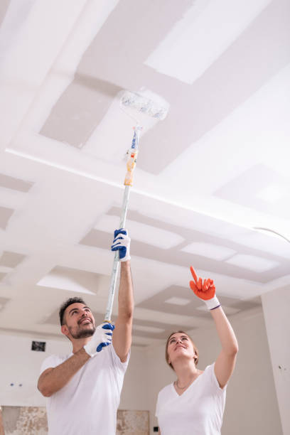 Best Mold Odor Removal Services  in Madison, MS