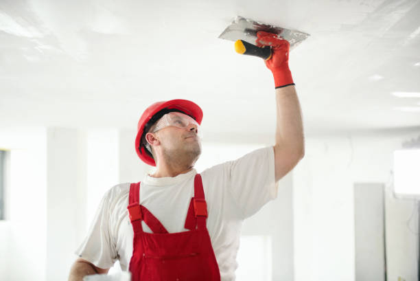 Best Commercial Mold Inspection  in Madison, MS
