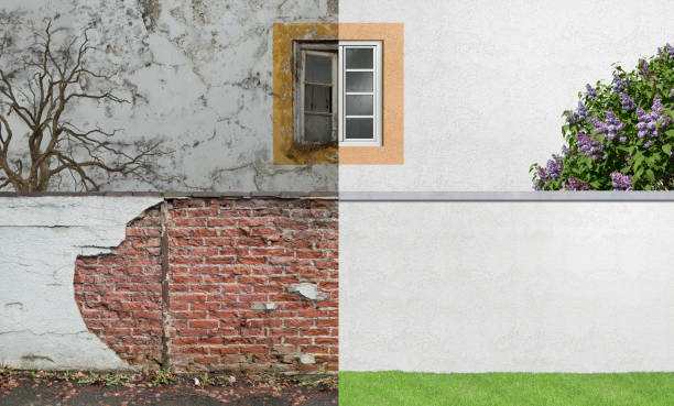 Best Industrial Mold Remediation  in Madison, MS