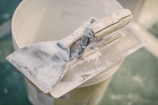 Best Water Damage & Mold Remediation  in Madison, MS