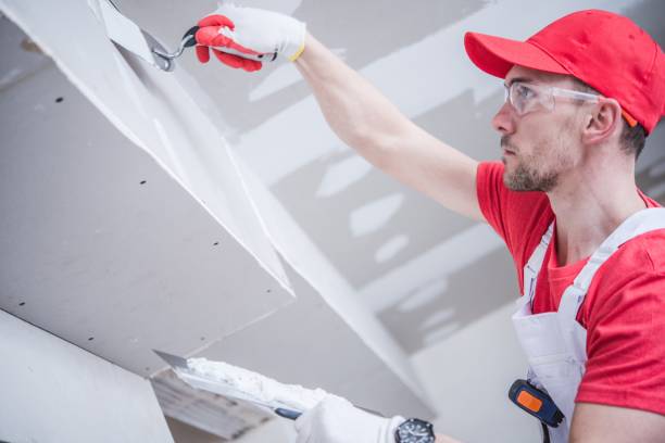 Best Residential Mold Inspection & Testing  in Madison, MS